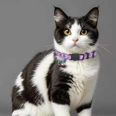 Giecooh collar con diseño mariposa, estilo divertido para gatitos