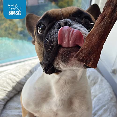 GigaBite sin olor, ideal para perros de todas las tallas.