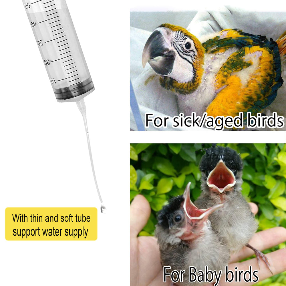 Conjunto Giiiiump de alimentación, compatible con aves pequeñas y grandes para cuidado diario.