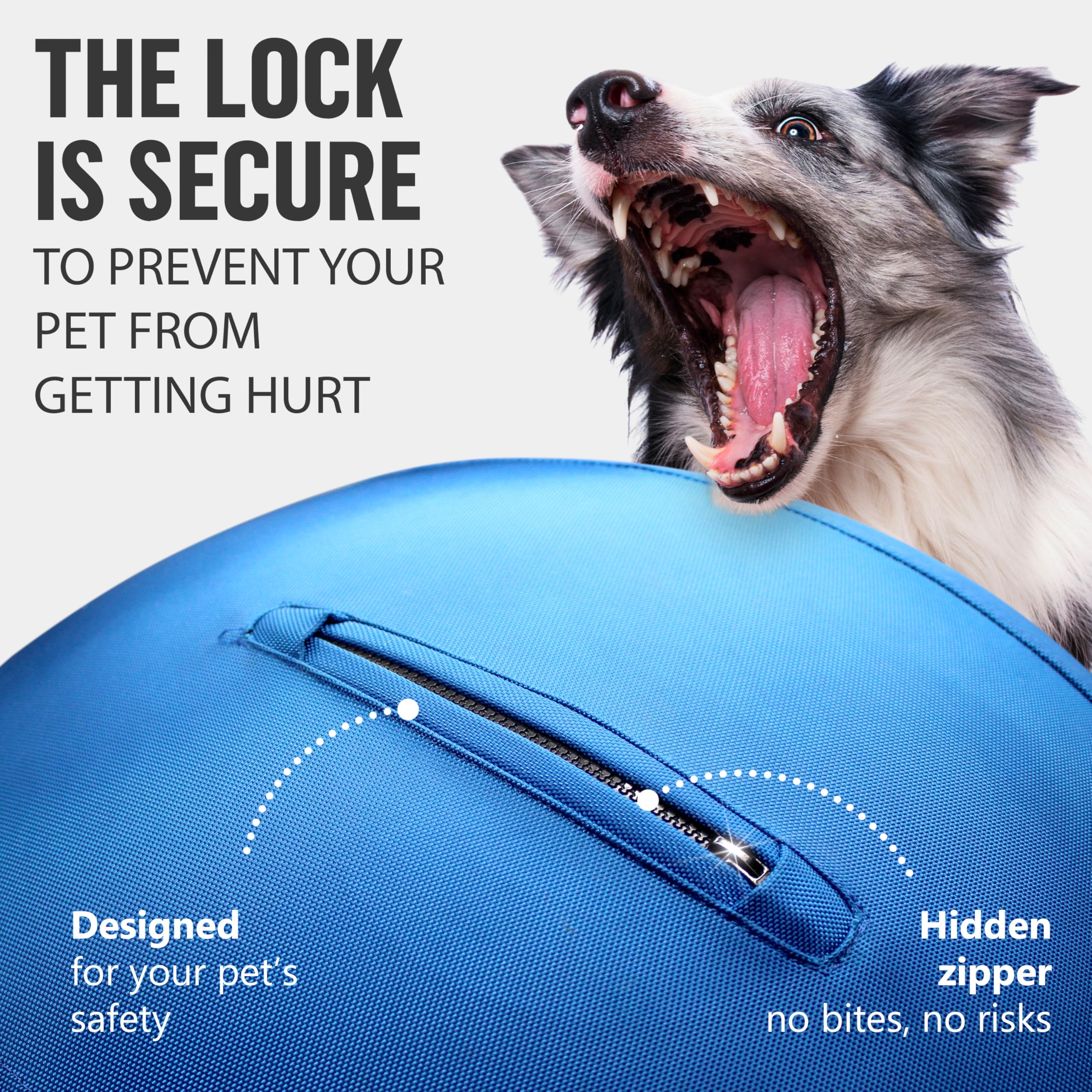 GILYX impulsa el ejercicio canino, ideal para razas de pastoreo y actividad diaria.