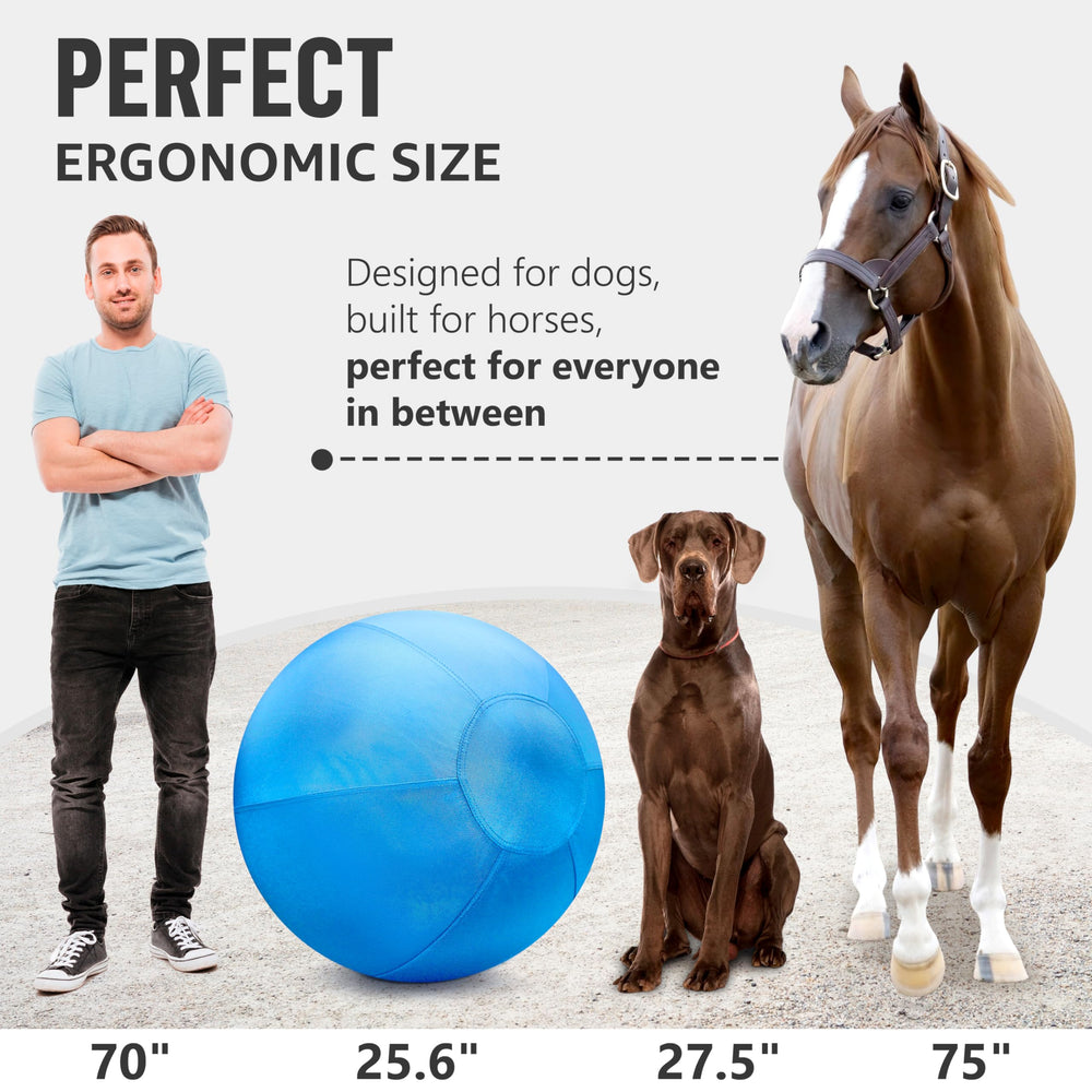 GILYX uso diario de pelota grande para perros, fácil de inflar y guardar.