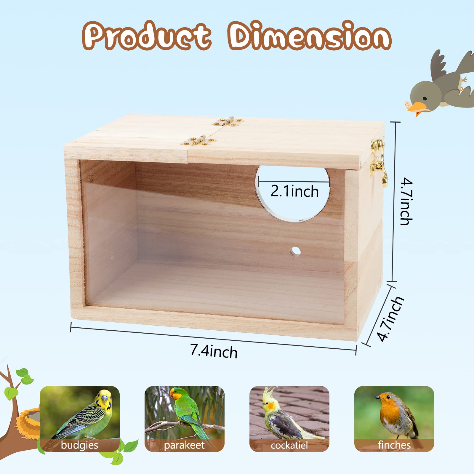 GINDOOR nido de pájaro transparente interior para monitorizar la cría