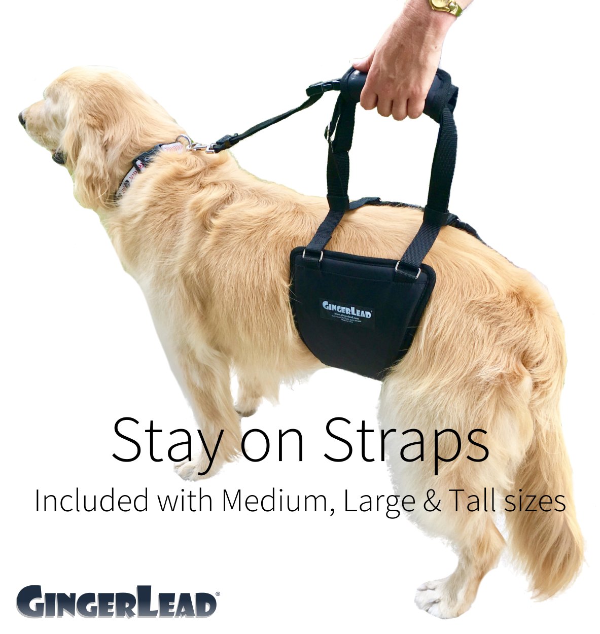 GingerLead recomendado para recuperación de TPLO y cirugías.