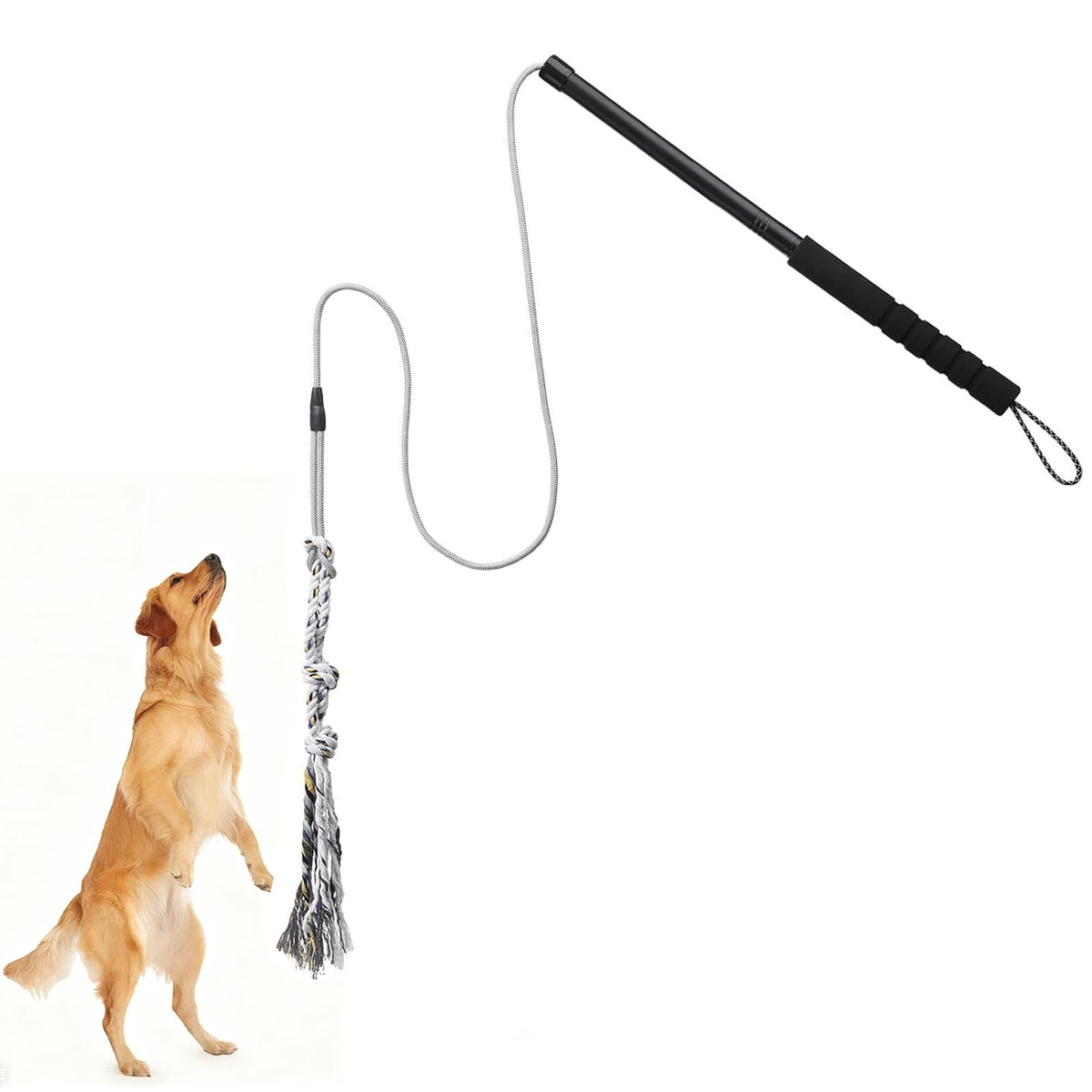 Gingull vara coqueteo para perros exterior: juego interactivo al aire libre.