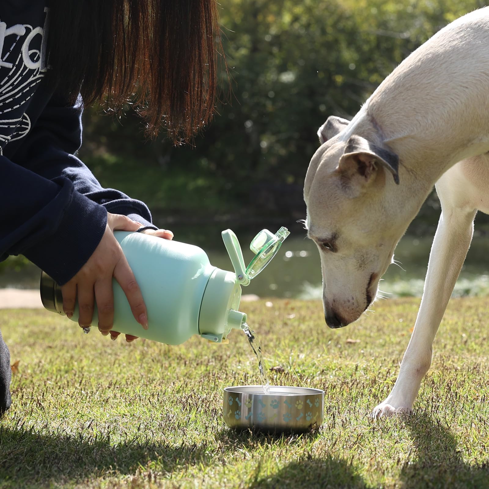 Regalo perfecto GiNT para amantes de perros en salidas.