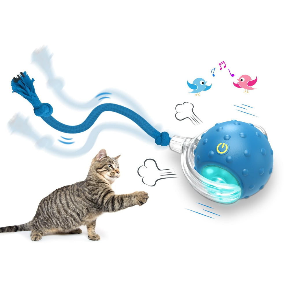 Giociv bola interactiva para gatos, juego continuo en alfombra azul