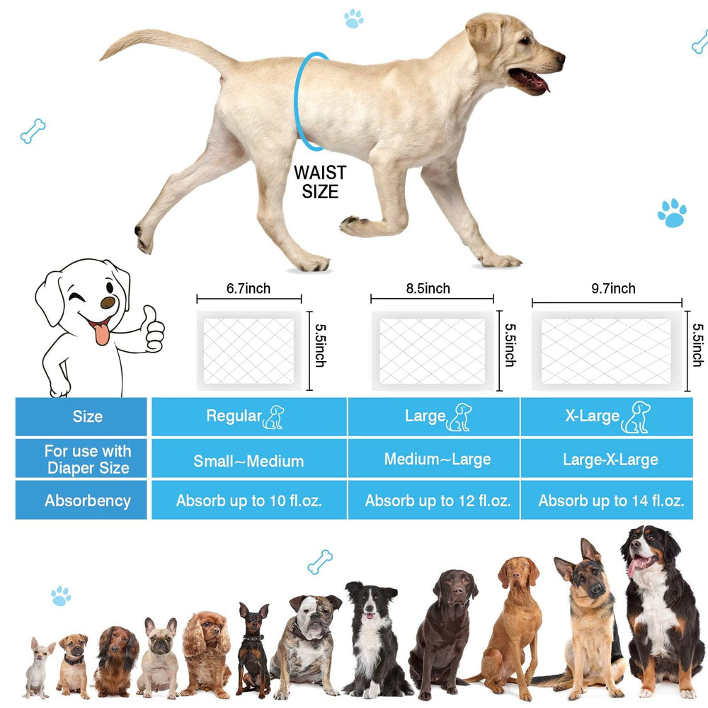 GIUACL uso diario y viaje, cómodo y conveniente para perros.