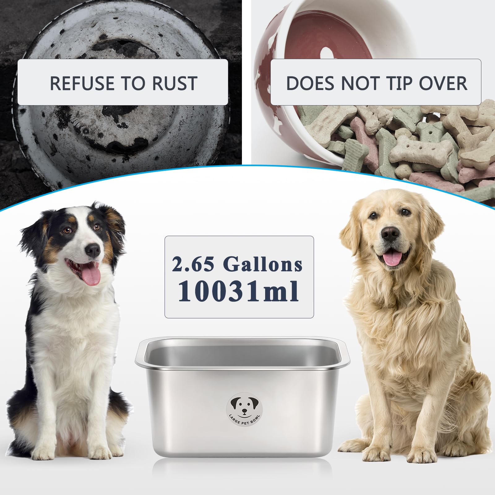 GIXSEGIE cuenco profundo para perros, permite comer cómodamente.