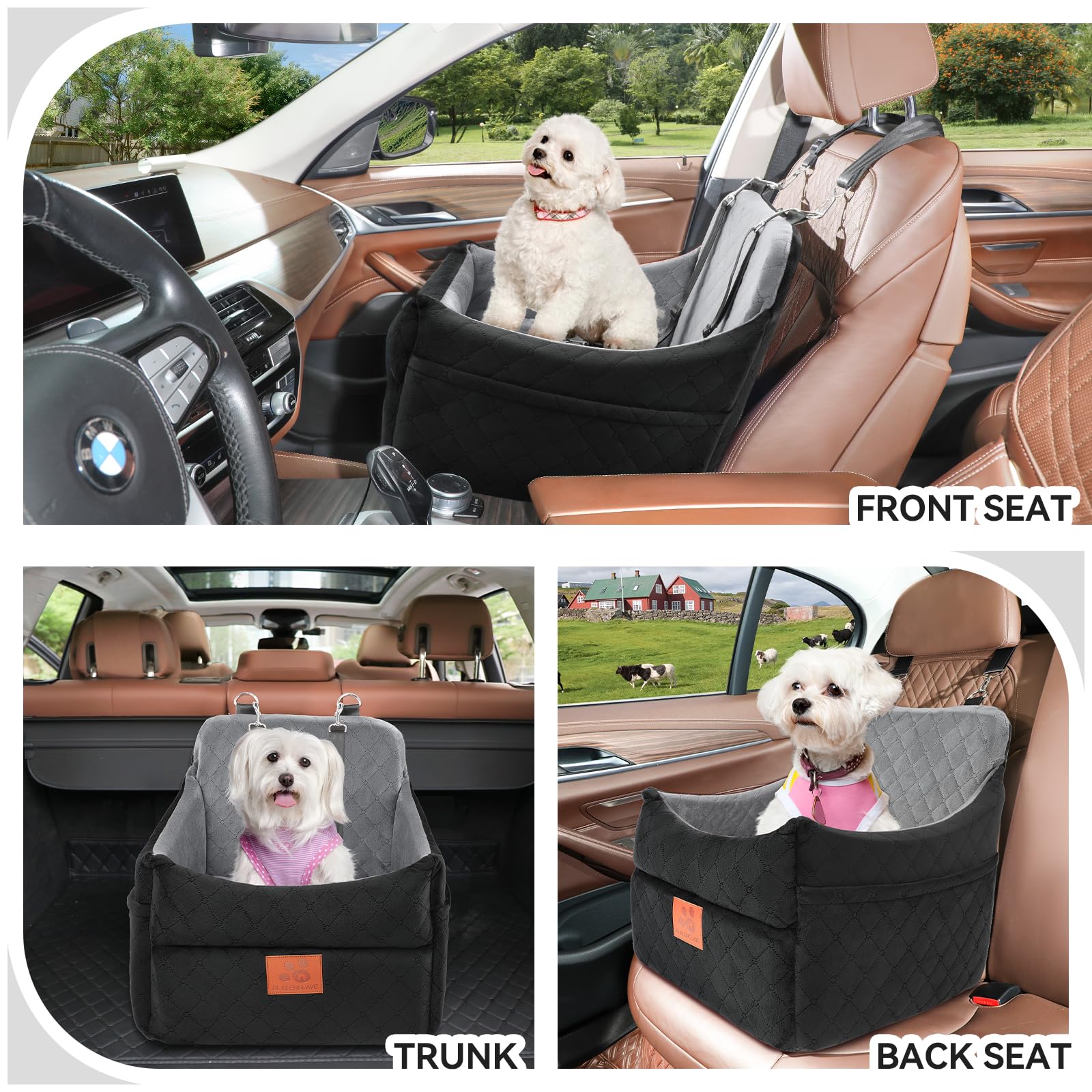 GL GLENSLAVE, asiento elevador para perros pequeños, ideal para mascotas de hasta 16 kg.