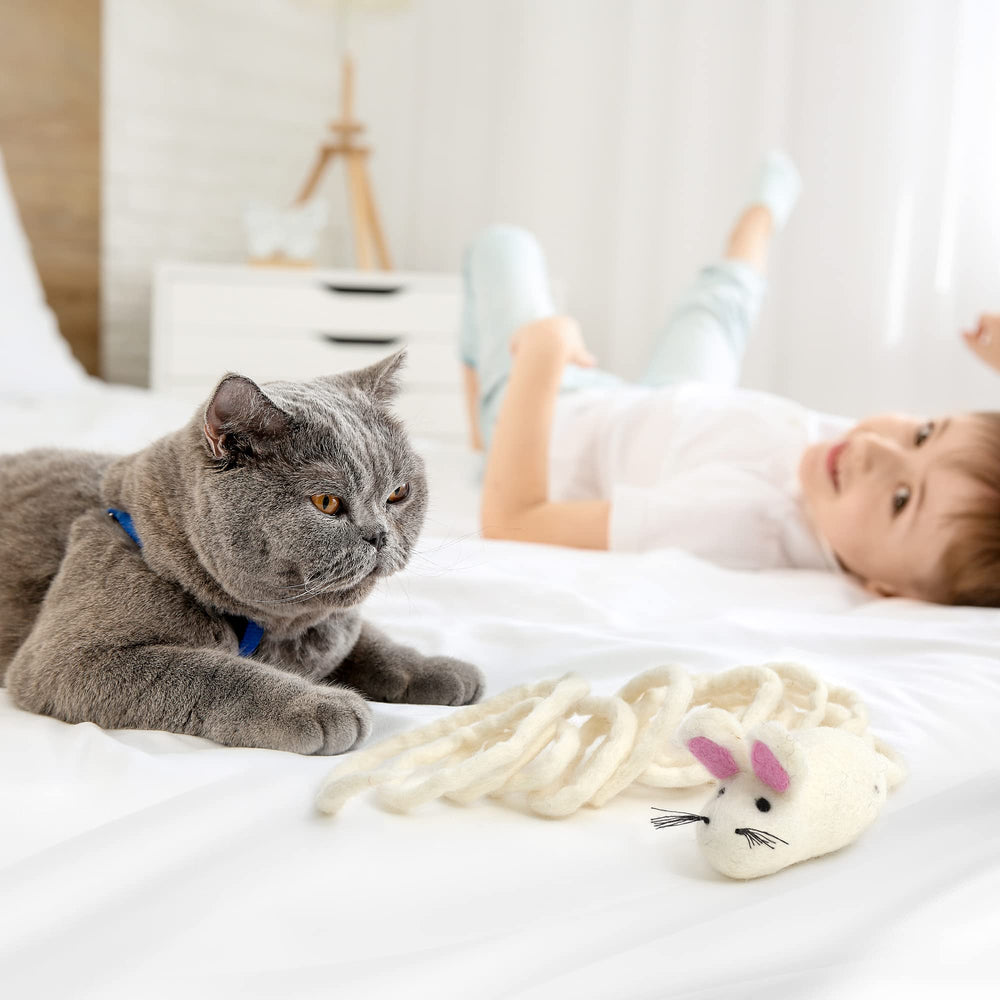 Glaciart One lana NZ natural, ratón de fieltro suave que cuida sus encías.