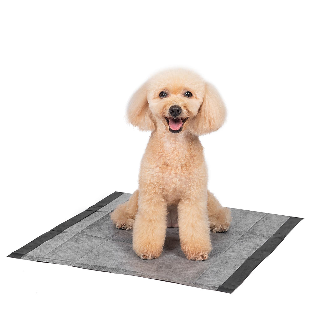 Tapete Glad para entrenamiento de cachorros en interiores.