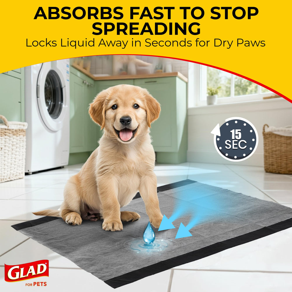 Glad para Mascotas: aptas para perros grandes o múltiples mascotas.