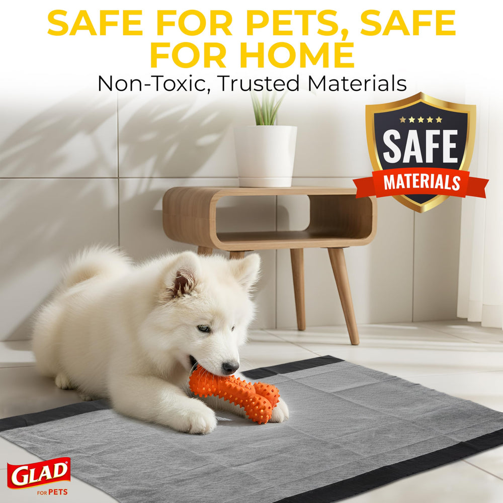 Glad para Mascotas: protección de suelos durante la convivencia diaria de varias mascotas.