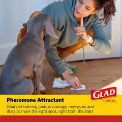 Glad para Mascotas: tapete de entrenamiento resistente a fugas para suelos limpios.