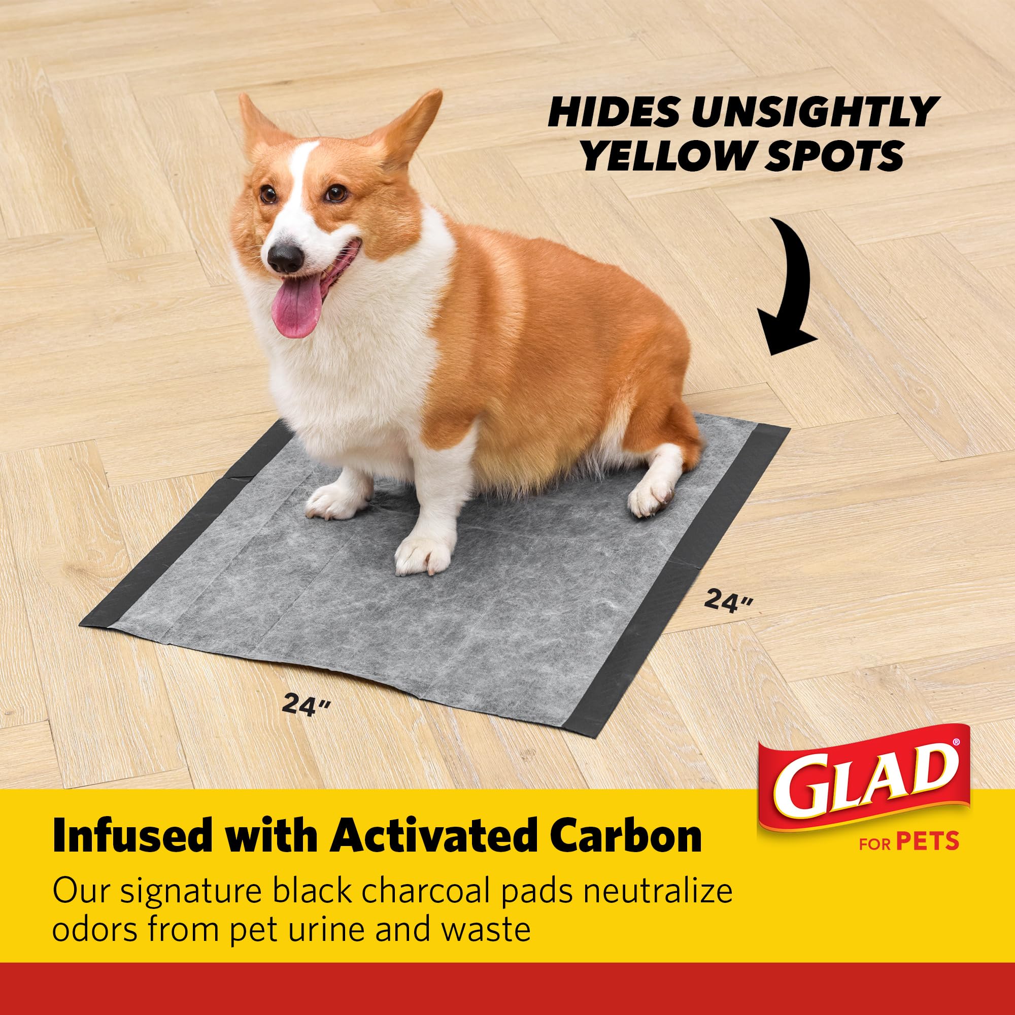 Glad XL para jaula, forro desechable para viajes y descanso.