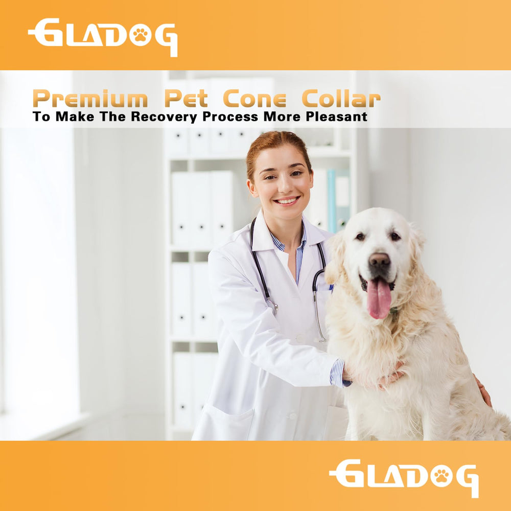 Con GLADOG el perro puede descansar tranquilo y moverse cómodo