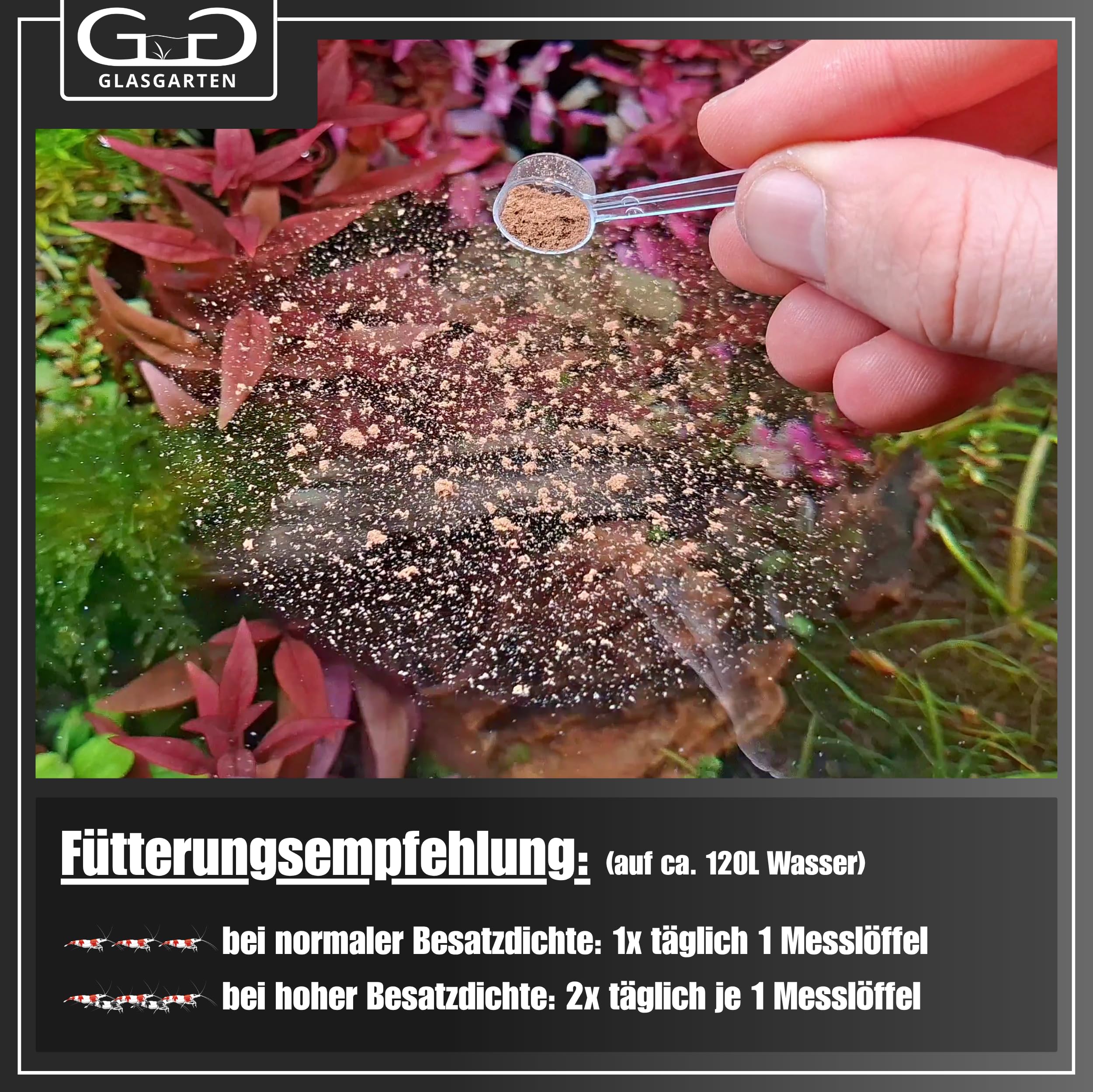 GlasGarten Care Food alimento suplementario para crustáceos y peces en tanques.