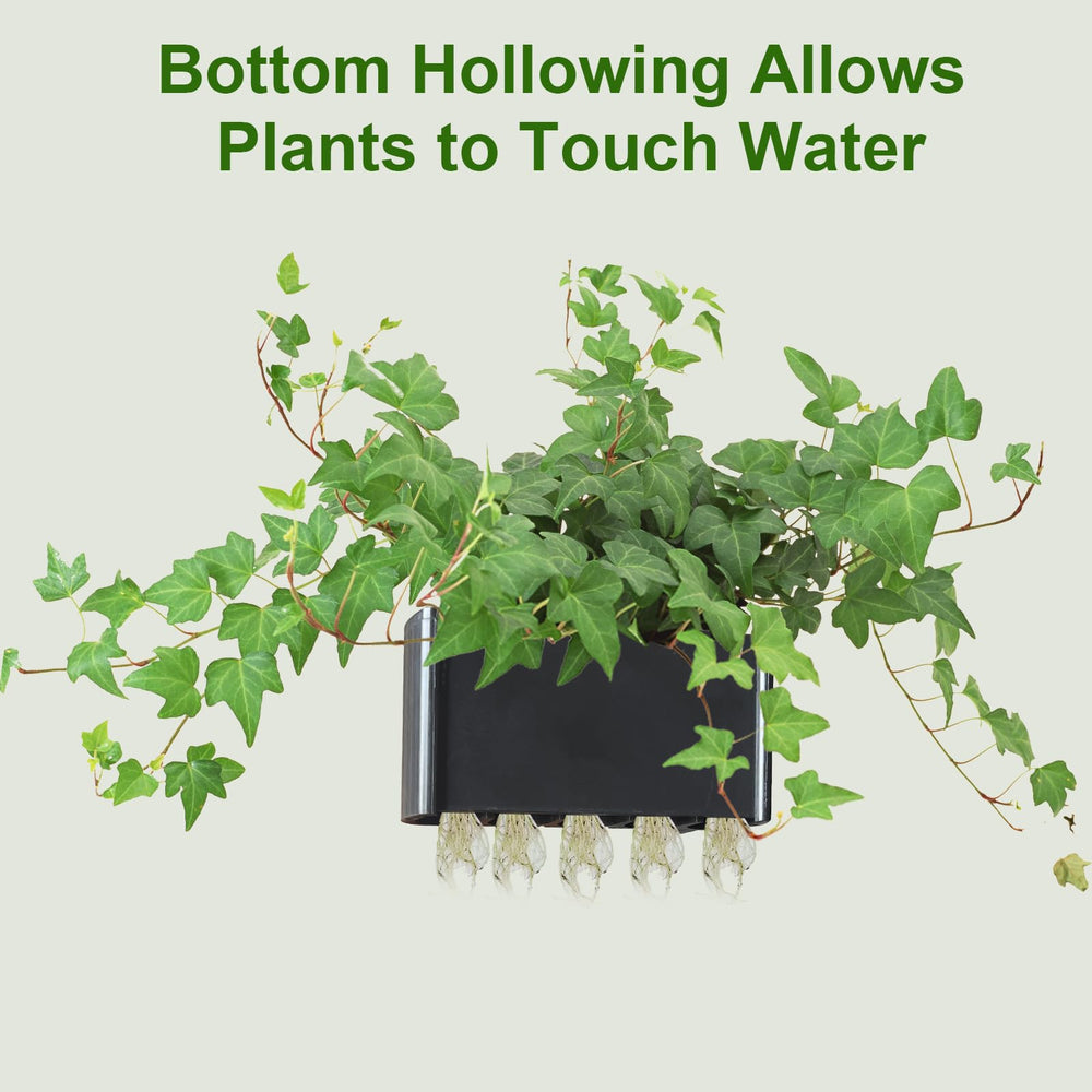 GLEFLE lotus-acuario-planta-colgante, opción para plantas ornamentales
