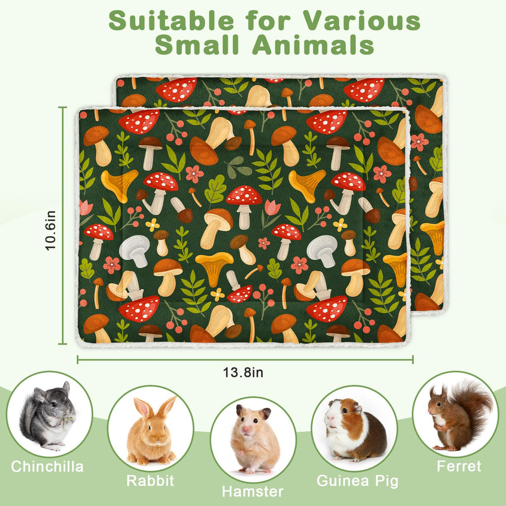 Glittme cama interior mascotas pequeñas, diseño espacioso para estirar
