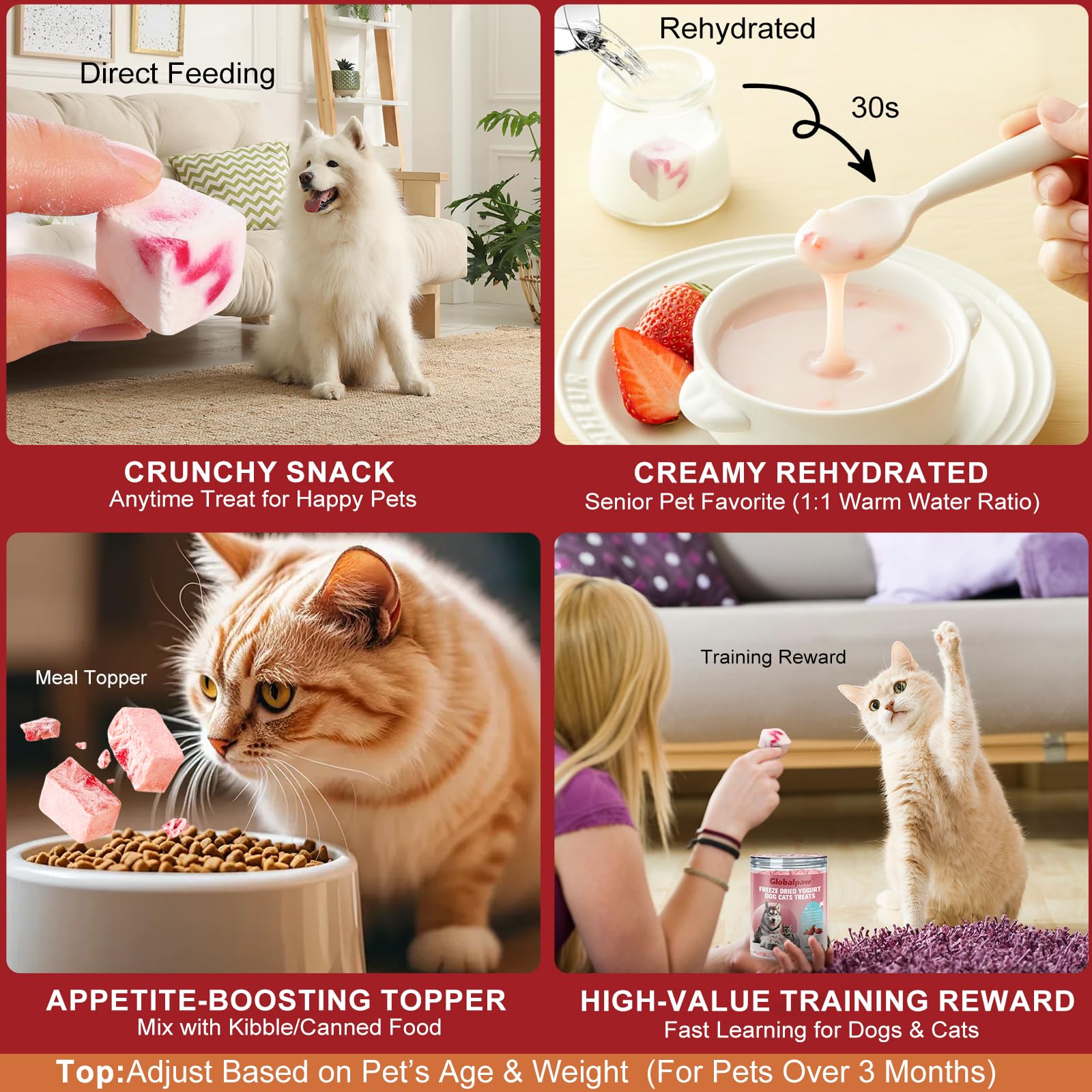 Globalpaw almacenamiento en lugar fresco y seco para conservar frescura.