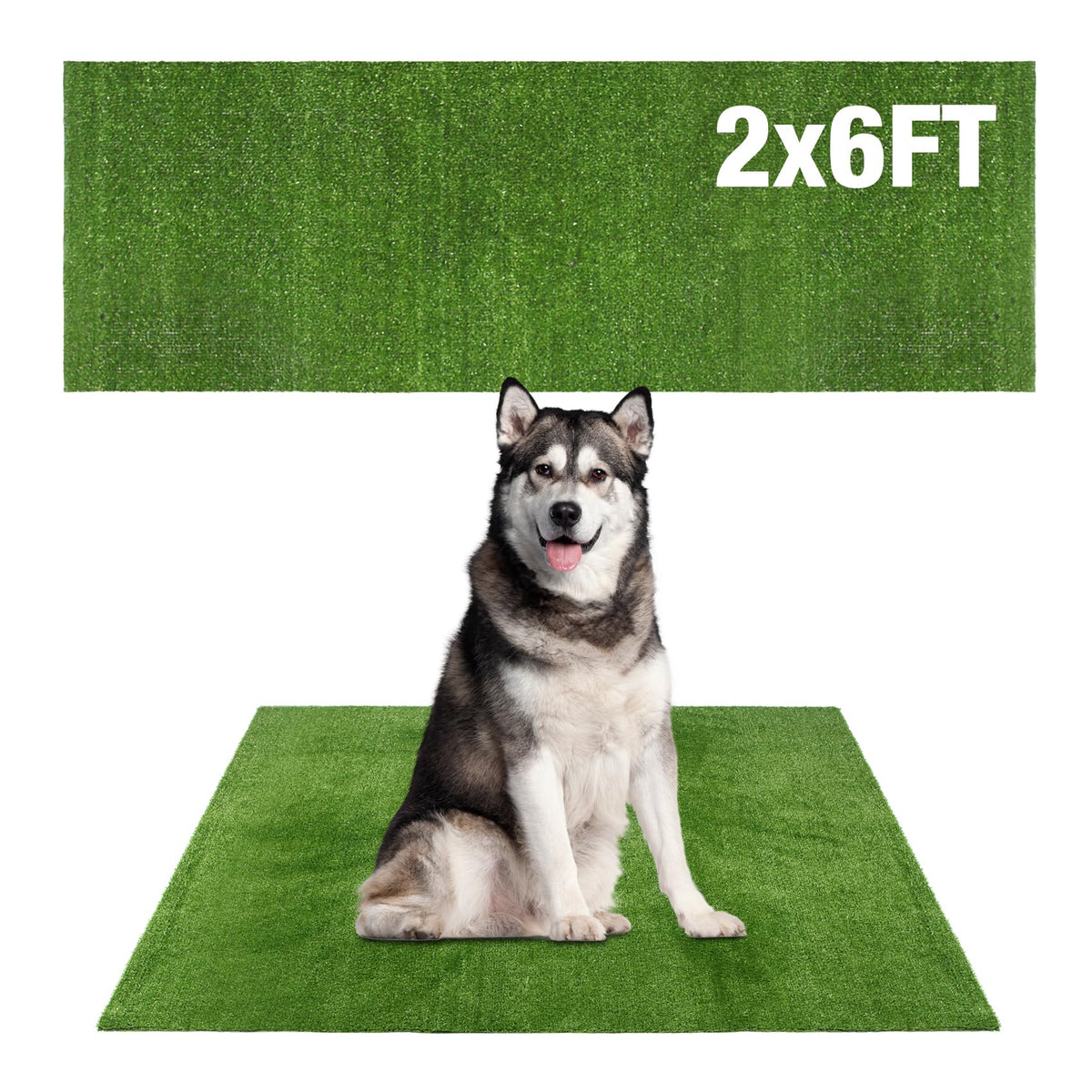 Globreen pasto para perro grande 2 pies por 6 pies, tapete para entrenamiento diario al aire libre