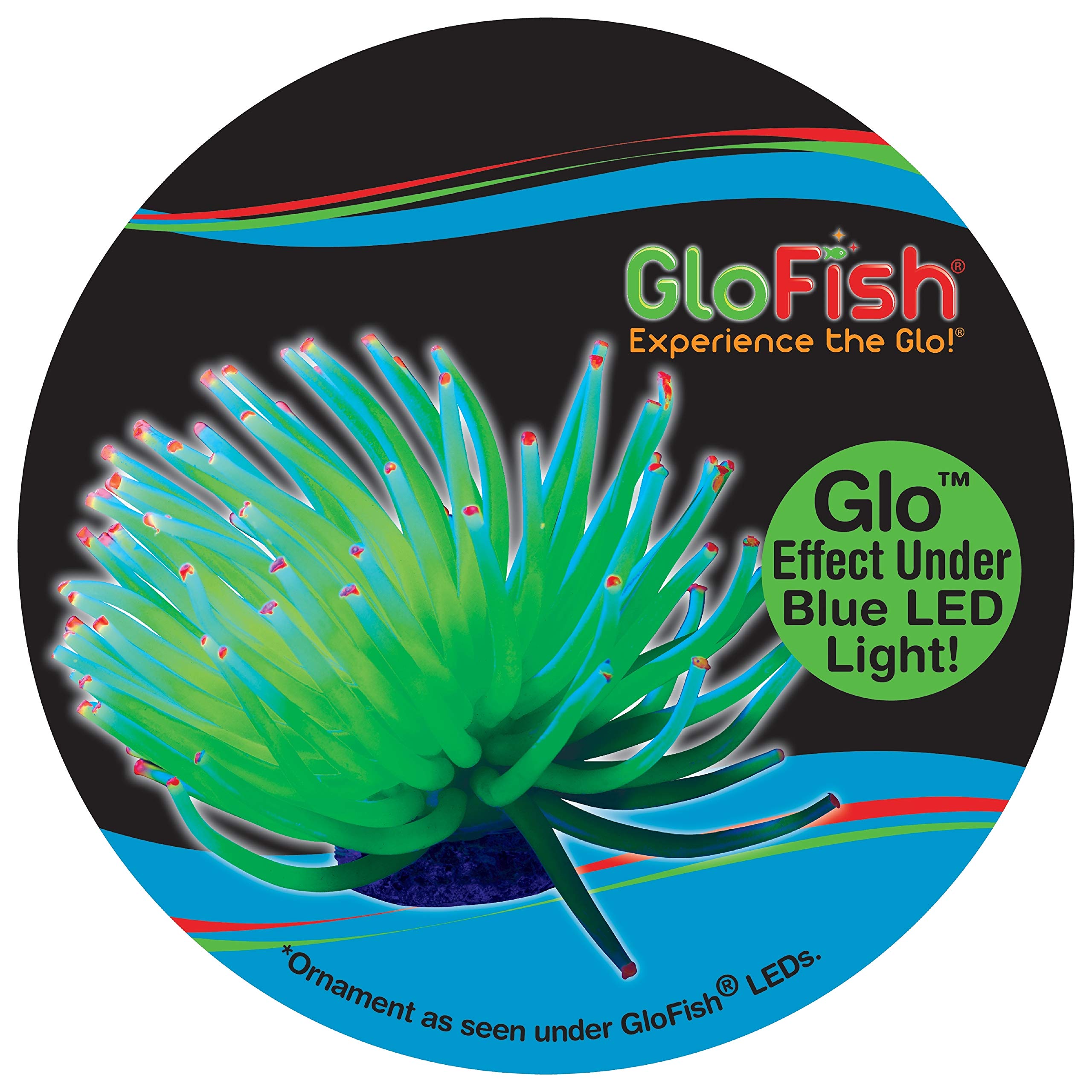 GloFish Anémona Amarilla muestra acabado plateado bajo luces.