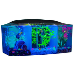 Tres compartimentos de 1 galón para Bettas en el GloFish Betta Trilogy.