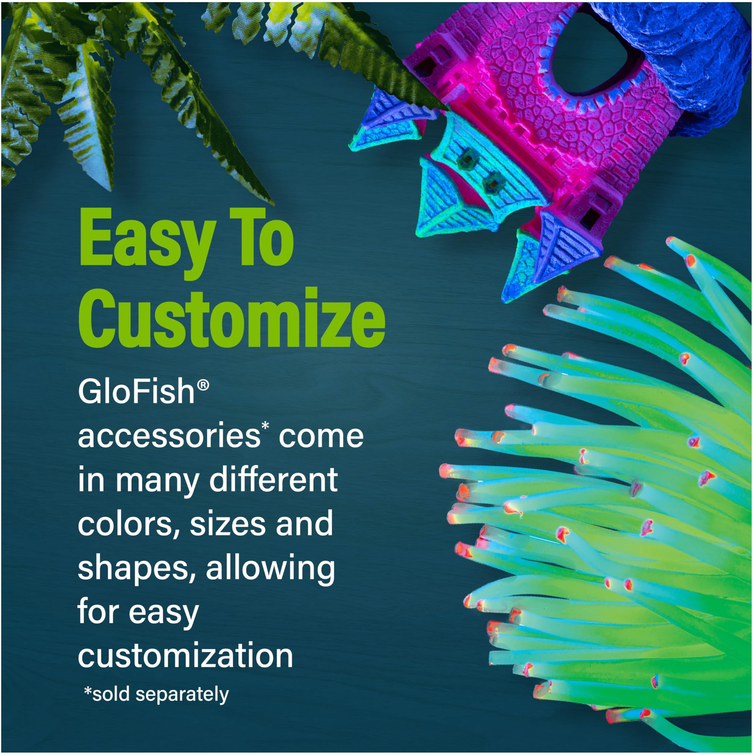 Modo de Luz Blanca en GloFish Betta Trilogy para colores vivos.