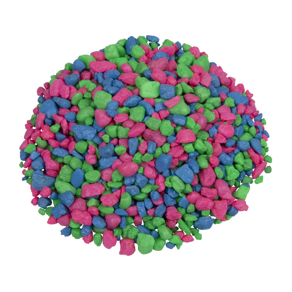GloFish azul neón realza peces fluorescentes