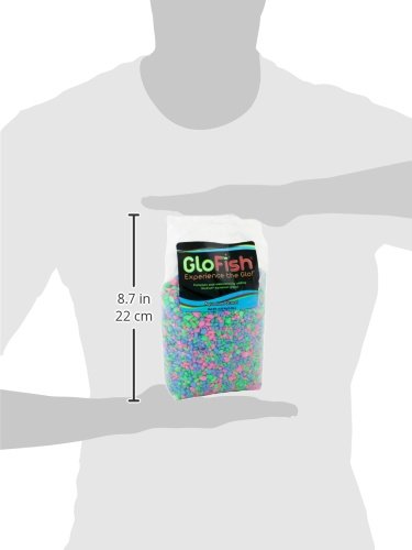 GloFish como base colorida para plantas y decoraciones