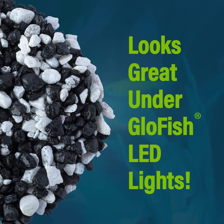 Iluminación azul realza el brillo fluorescente de la grava de GloFish.
