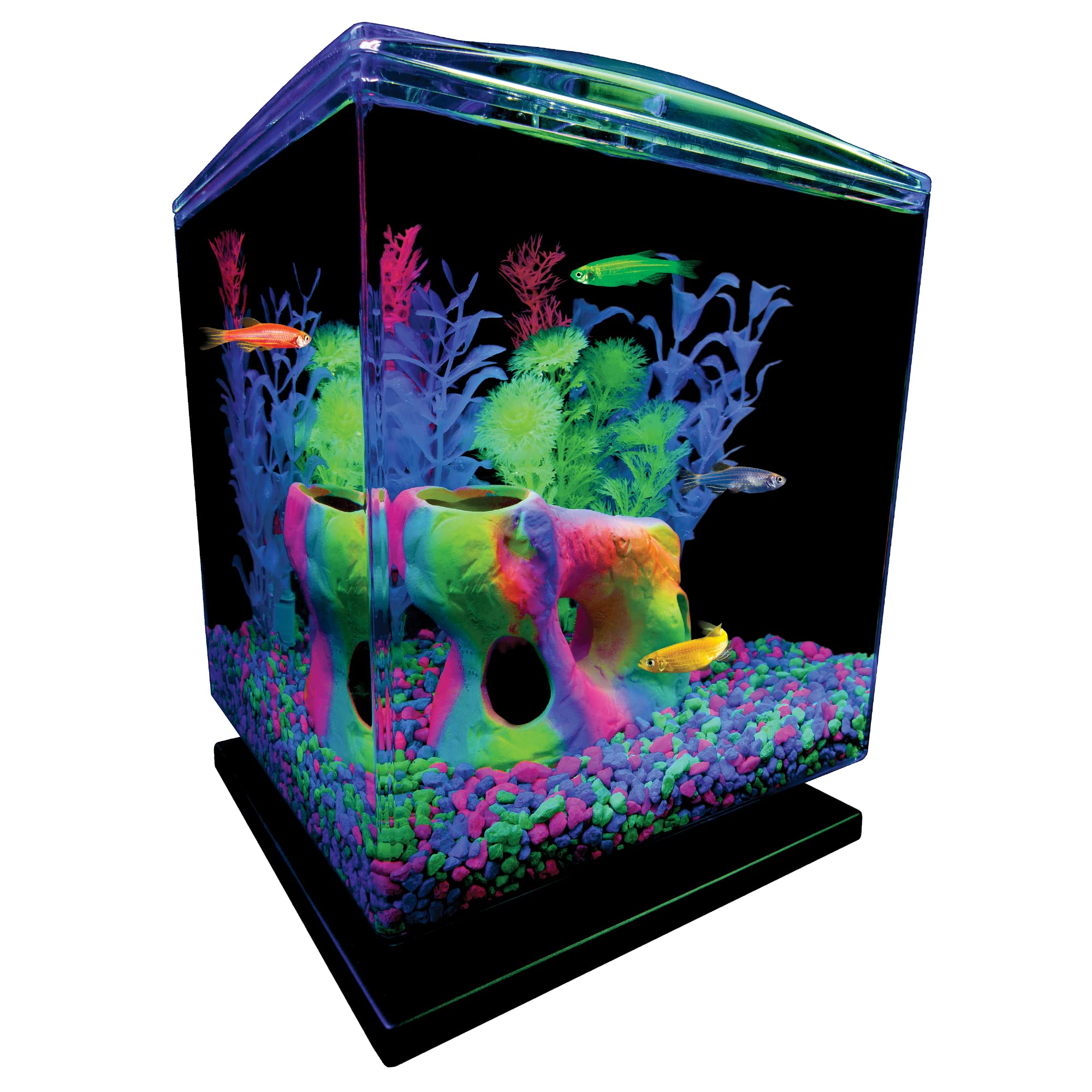 GloFish verde fluorescente que destaca el sustrato