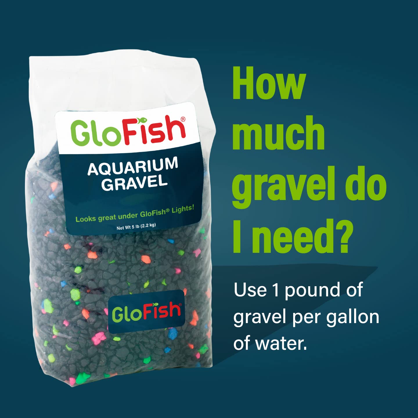 GloFish grava para crear un ecosistema atractivo junto a plantas y adornos.