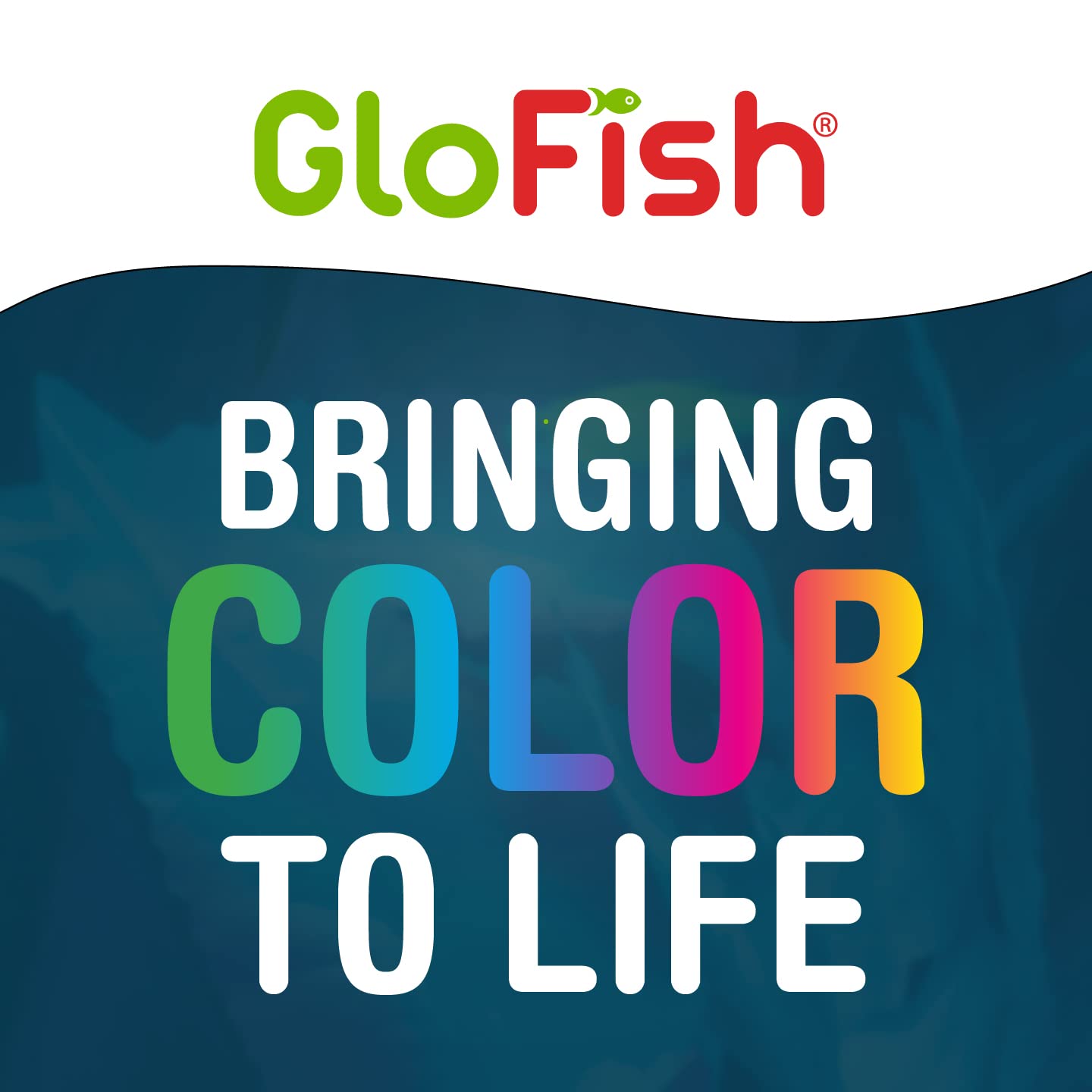 La iluminación nocturna resalta el efecto fluorescente de la grava GloFish.