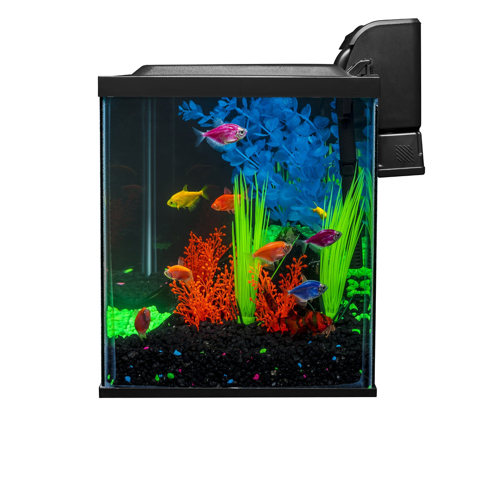 Dimensiones del acuario 20 x 10 x 12 pulgadas para un tamaño compacto