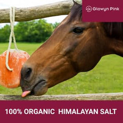 Glowyn Pink Sal Himalaya cuerda: instalación rápida y segura para minerales.