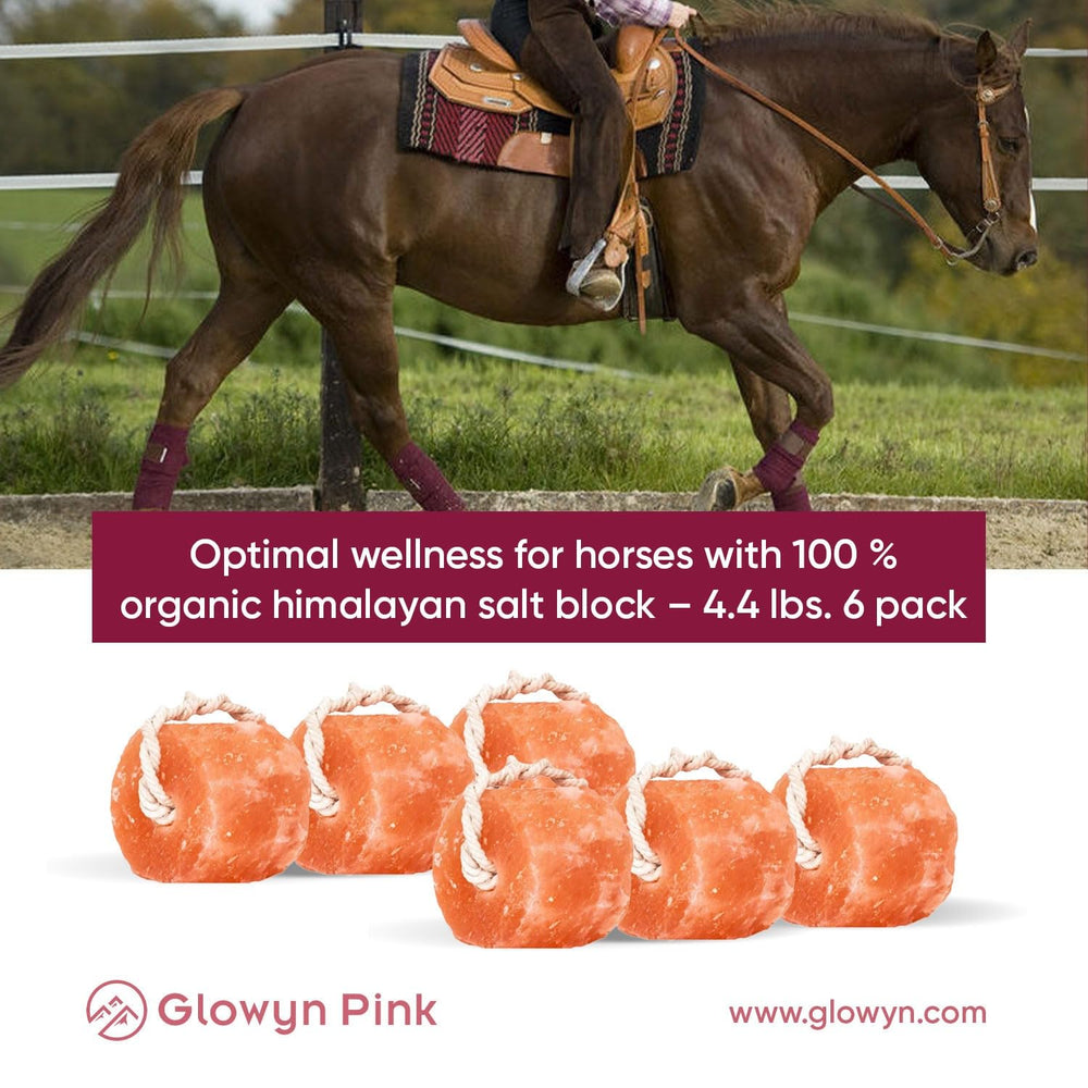 Sal Himalaya de Glowyn Pink: bloque resistente a clima y uso diario.