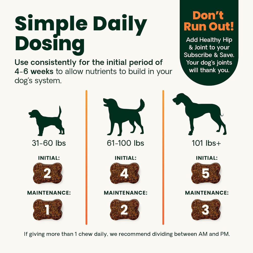 Movilidad diaria mejorada en perros mayores gracias a GlycoFlex Plus.