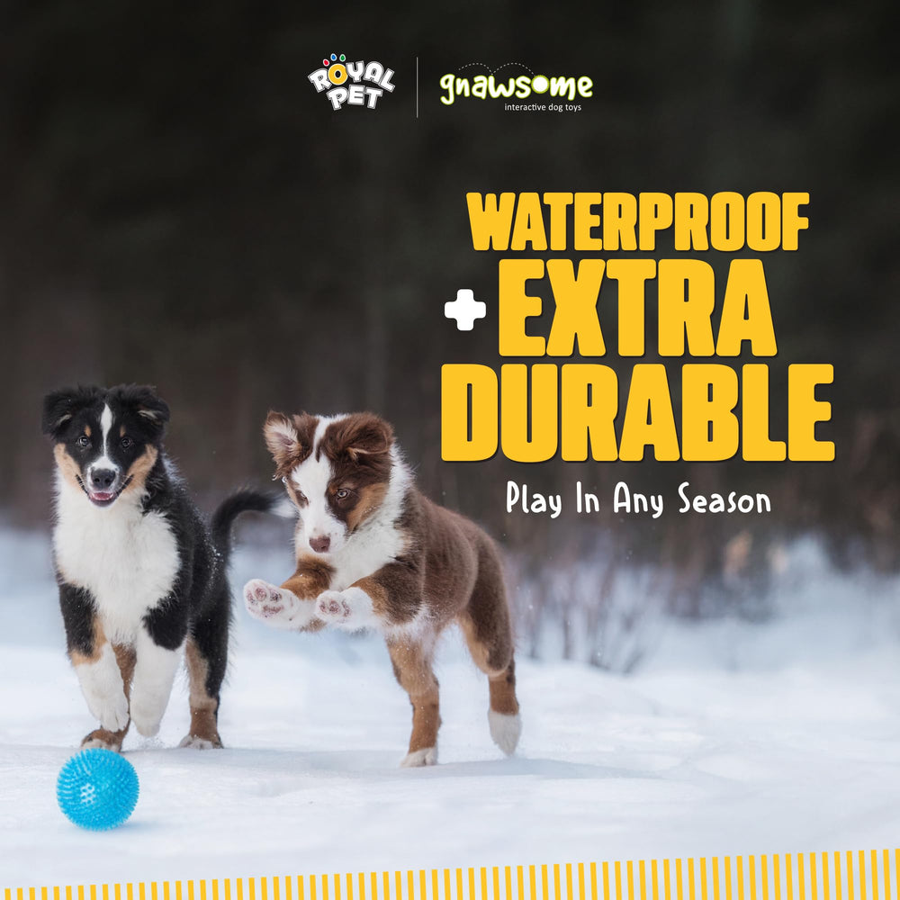 Gnawsome bola colores vivos para estimular la atención del perro.
