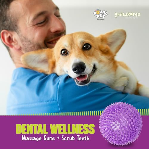 Gnawsome bola duradera y resistente para sesiones de juego prolongadas.