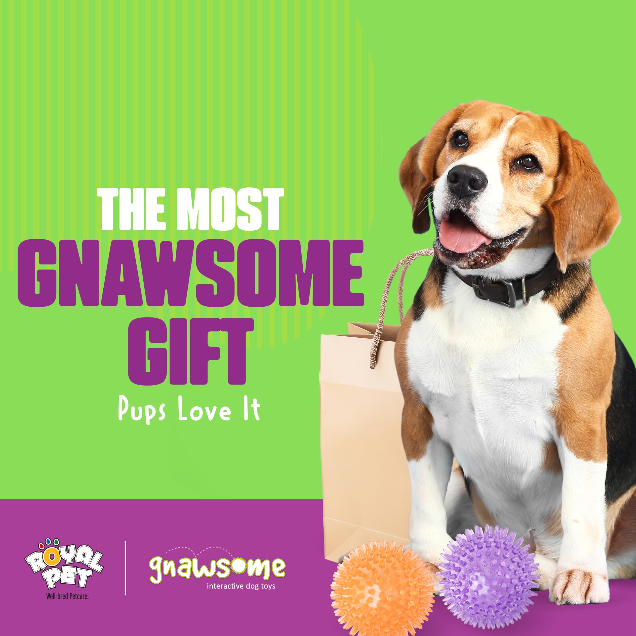 Gnawsome juguete seguro y duradero para perros activos.