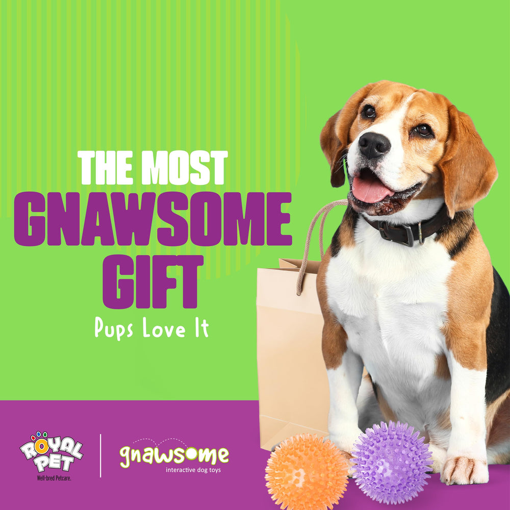 Gnawsome juguete seguro y duradero para perros activos.