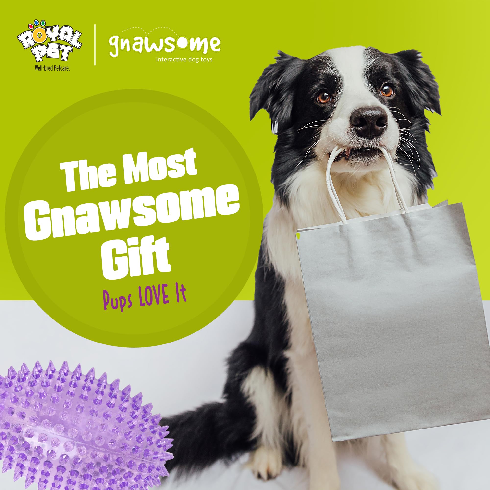 Gnawsome mejora la experiencia de juego diario del perro.