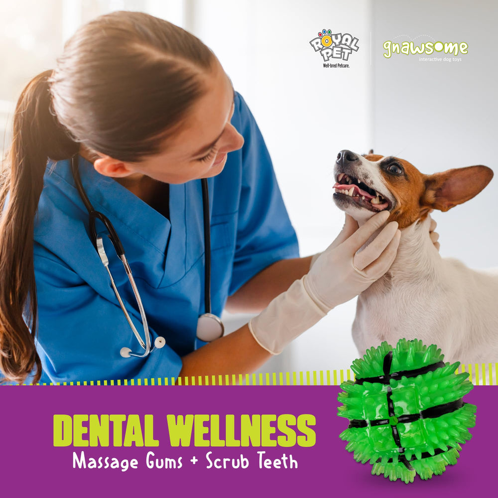 Uso versátil de Gnawsome para perros pequeños y medianos