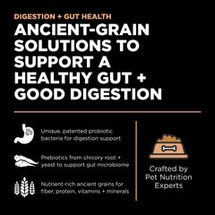 Go! Solutions Granos antiguos: fibra para una digestión estable