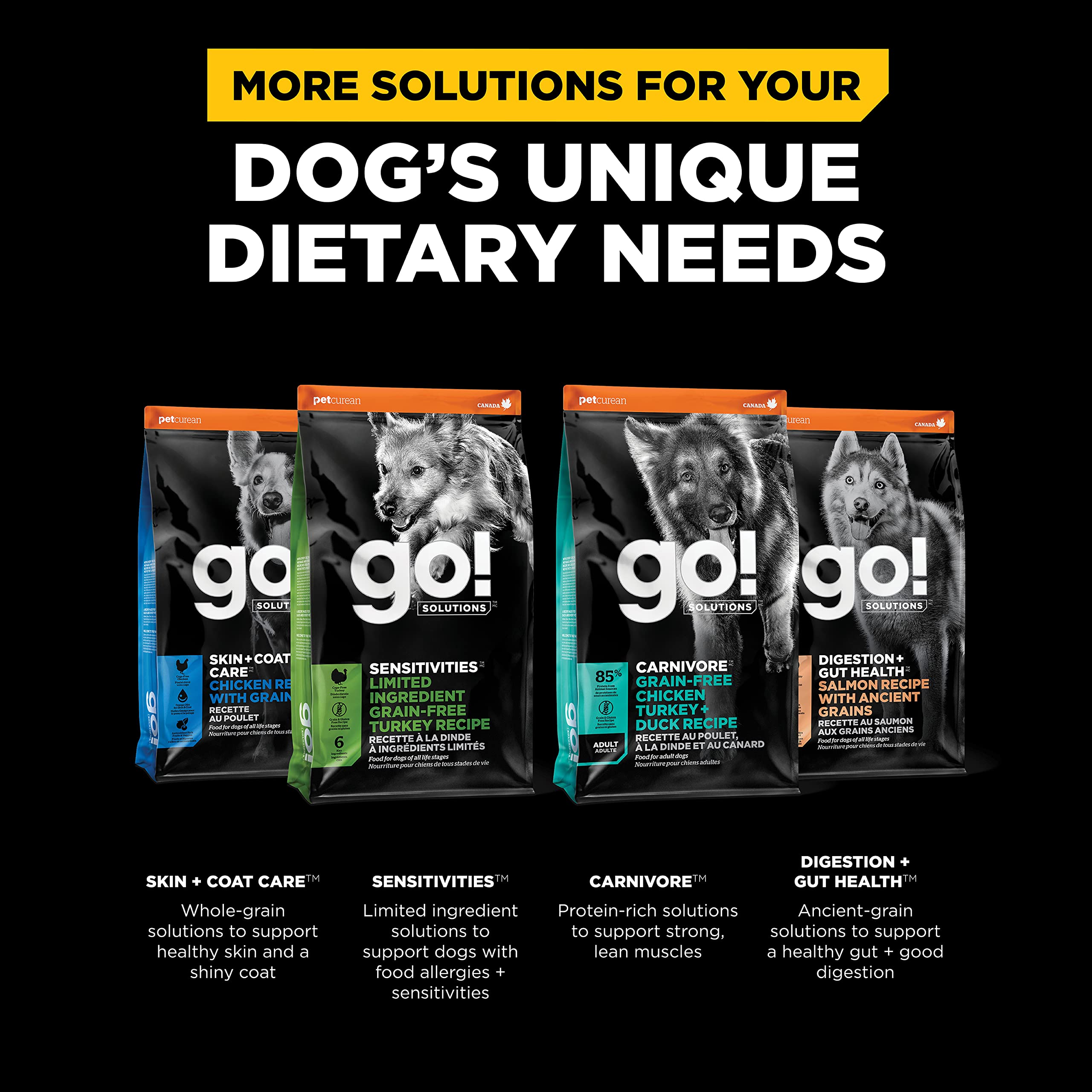 Go! Solutions l-carnitina, ayuda al metabolismo de grasas
