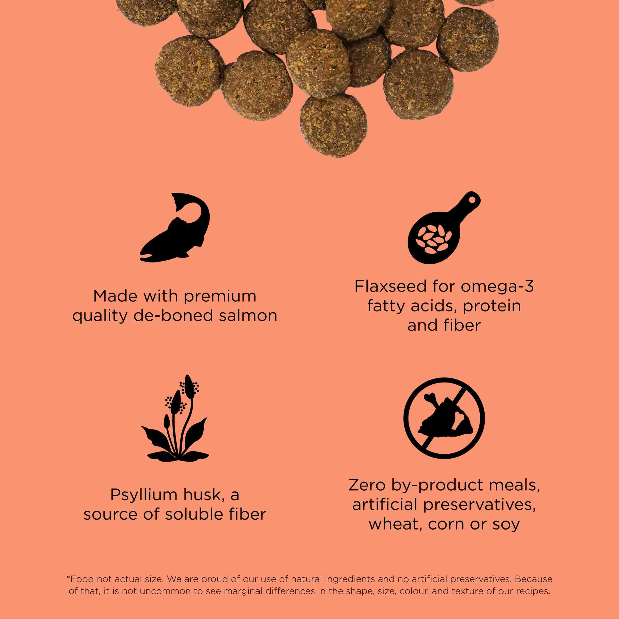 Go! Solutions L-carnitina: metabolismo de grasa para perros adultos