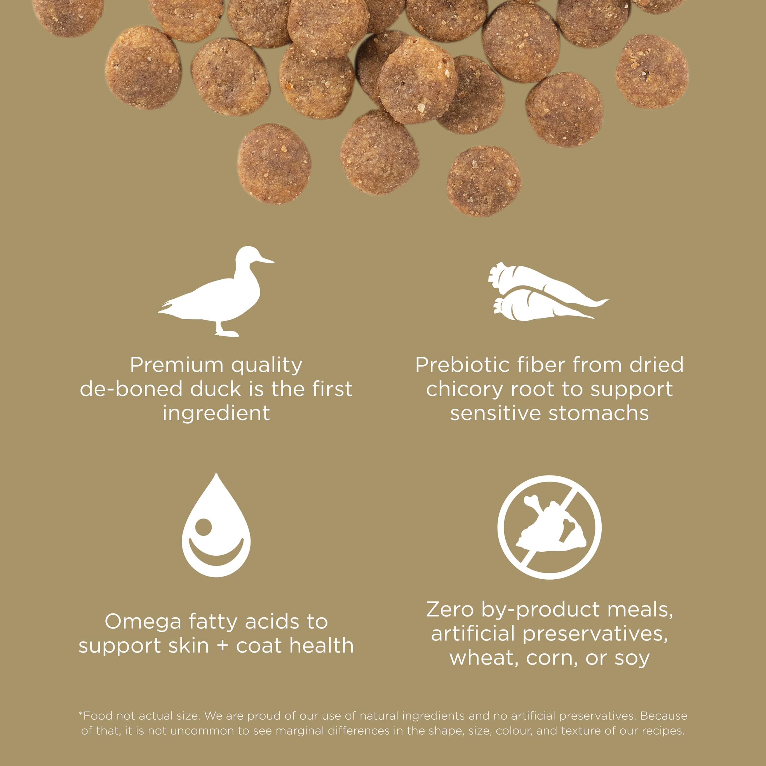 Go! Solutions Sensibilidades, croquetas sin gluten para perros activos.