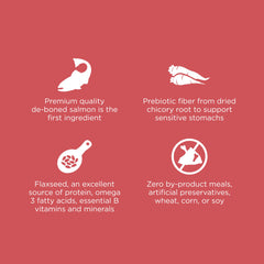 Go! Solutions Sensitivities sin granos y gluten para una digestión suave