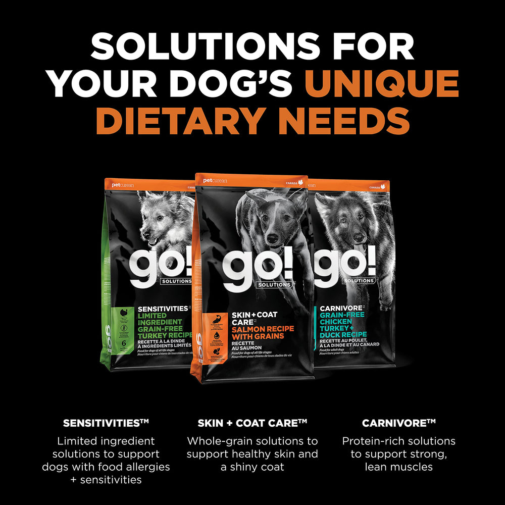 Go! Solutions Skin + Coat Care Salmon, digestión suave con fibra prebiótica